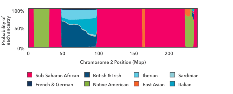 Graph showing Ancestry Composition assignment probabilities across chromosome 2, with colored regions representing different ancestral populations including Sub-Saharan African (pink), Native American (green), and various European ancestries (blue)