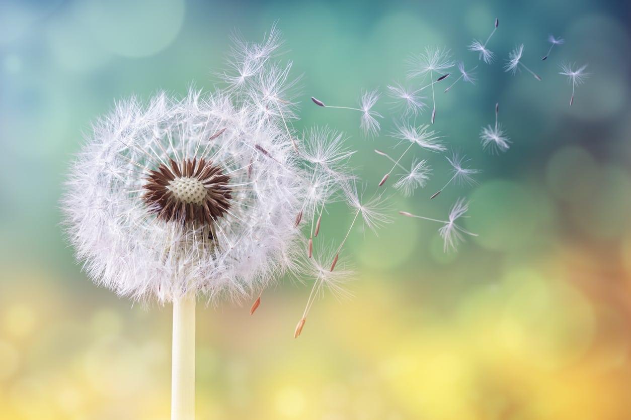 The Genetics of Asthma and Allergies: More Than a Decade of 23andMe Research