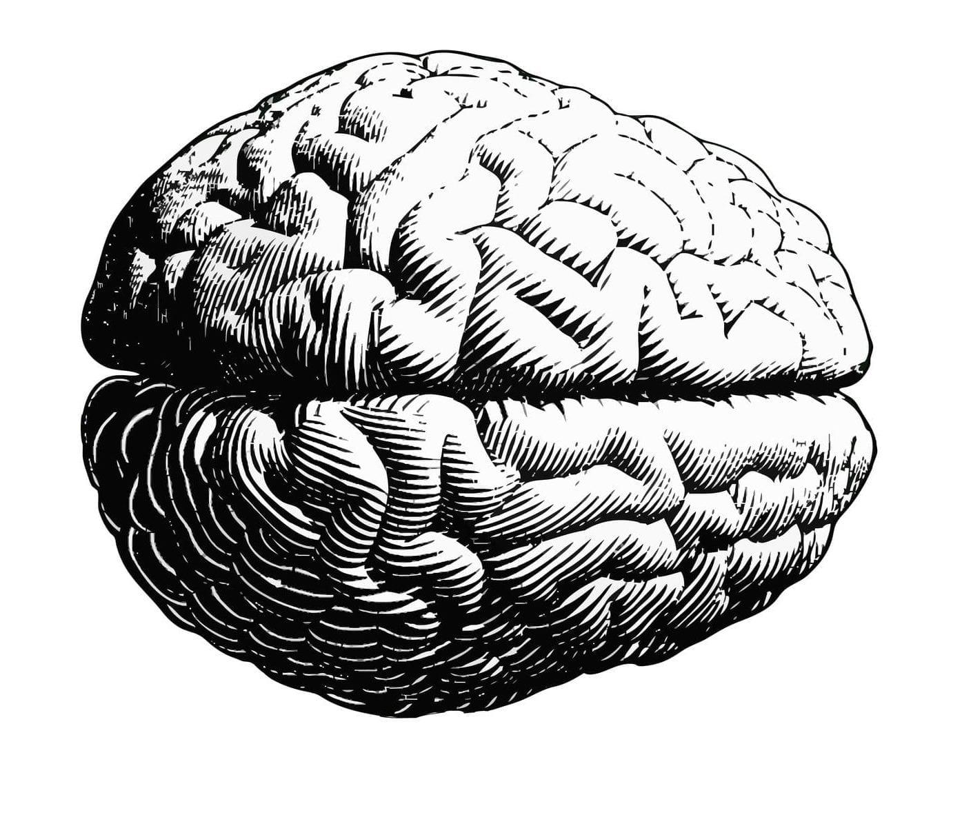 Studies Identify Five More Genetic Variants Associated with Alzheimer’s