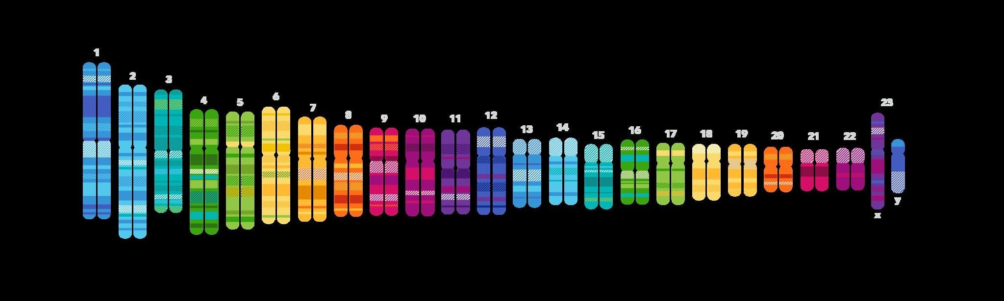 Can You Upload DNA Data to 23andMe? 
