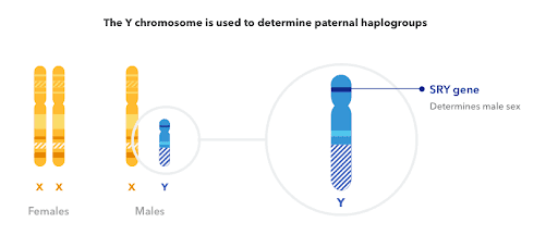 How was your sex determined? It might be a lot more complicated than you think