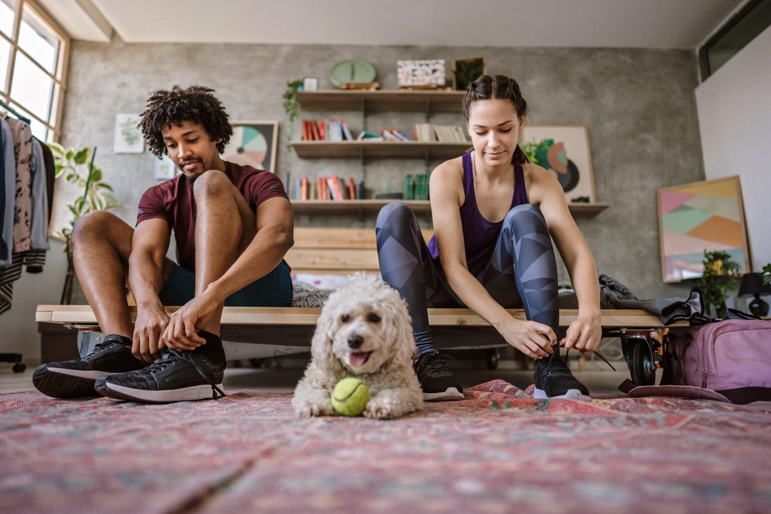 Study Sniffs Out Genes Behind Dog Hair